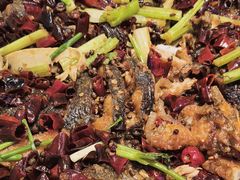 -老板恋上鱼(印象城店)