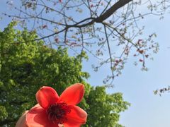 -广州市紫泥堂文化创意园景区