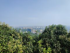 -杭州半山国家森林公园