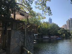 -晓港公园