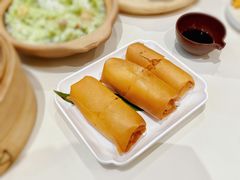 芙蓉蛋白春卷-蔡澜点心·粤菜(月星环球港店)