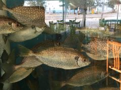 -浪琴湾尾角仔海鲜坊