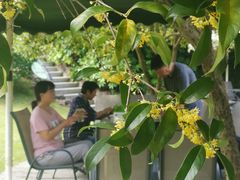 -杭州海华满陇度假酒店