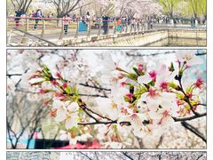 -西北湖绿化广场