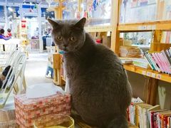 -小时光咖啡馆(开森度假森林店)