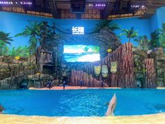 -珠海长隆海洋王国