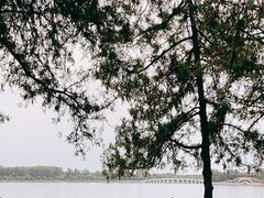 -颐和园