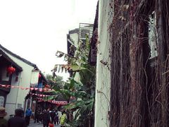 -方回春堂(拱宸桥店)