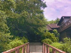 -东寨港红树林旅游区