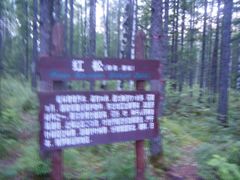 -峡谷浮石林景区