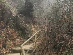 -东天目山风景区
