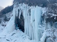 -少华山国家森林公园