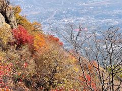 -香山公园