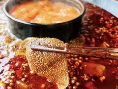-三江两海老火锅(北京首店)