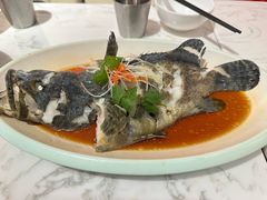 -T11生鲜超市(朝阳公园店)
