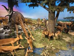 -国家自然博物馆