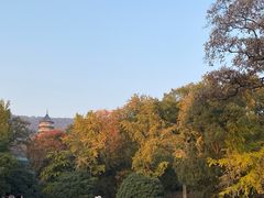 -灵谷景区