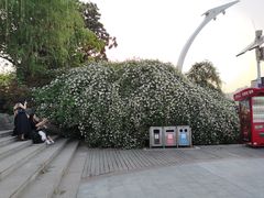 -天鹅湖体育公园