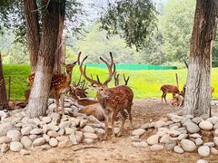 -北京野生动物园