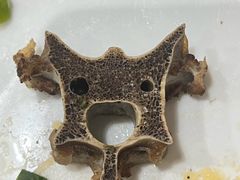 -香满锅老北京羊蝎子火锅·家常菜(新街口店)