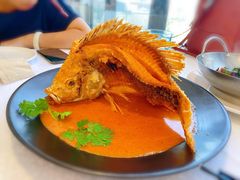 -新加坡珍宝海鲜JUMBO Seafood(西安skp店)