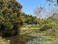 -中国科学院西双版纳热带植物园