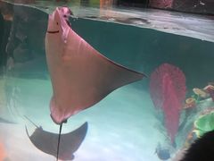 -沈阳海洋探索中心