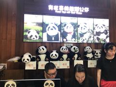 -都江堰中华大熊猫苑