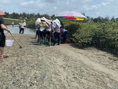 -北海金海湾红树林生态旅游区