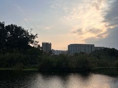 -荔湾湖公园