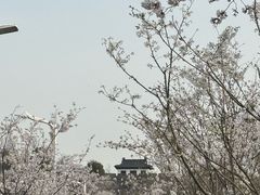-幕燕滨江·长江观音景区