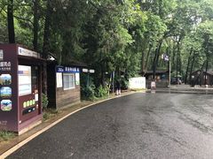 -灵谷景区