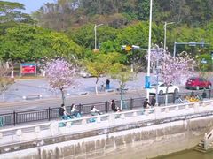 -长洲岛