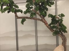 -箸福·夜上海(月牙湖公园店)