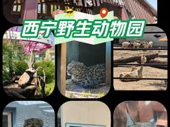 -青藏高原野生动物园
