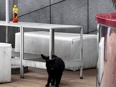 -UNI UNI(环亚凯瑟琳店)