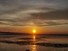 -宝安西湾红树林湿地公园