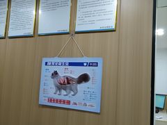 -米苏动物医院·犬猫专科·骨科外科内窥镜