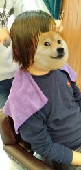 -小齐发型Star·Salon