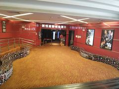-上海金逸影城(静安大悦城店（原新恒星影城）)