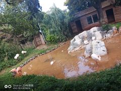 -昆明动物园