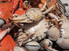 -一方渔歌蒸汽海鲜自助(文化路万达广场店)