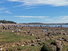 -青岛第一海水浴场