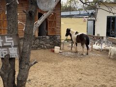 -HERRE·FARM 赫尔露营农场·团建聚会包场