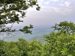 -紫金山索道-售票处