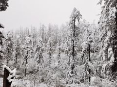 -瓦屋山景区