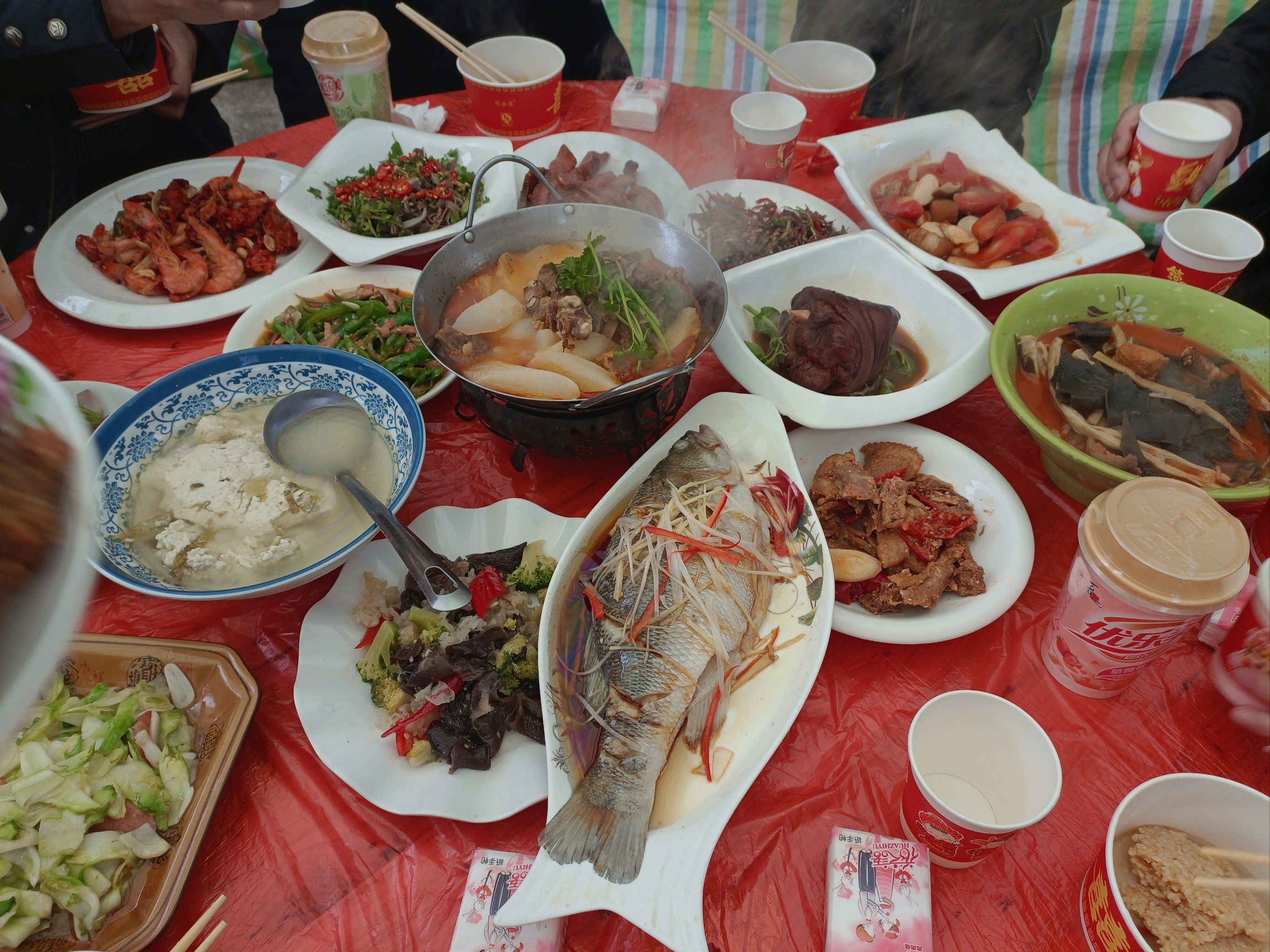 吖,看看肉肉是怎么长成的,过年吃酒碗儿