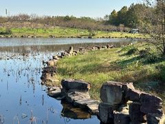 -上海海湾国家森林公园