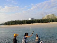 -东郊椰林