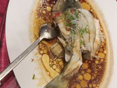 -豪廷轩中餐厅·特色云南菜(温德姆至尊豪廷大酒店)